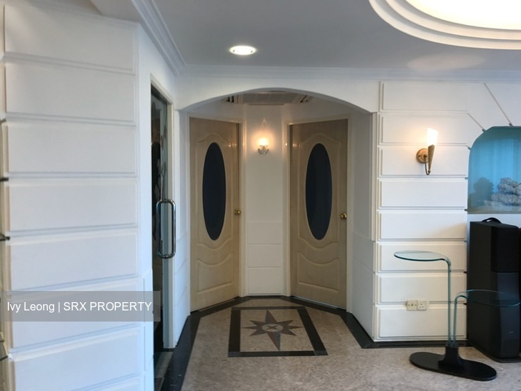 Lucky Plaza (D9), Apartment #225261491